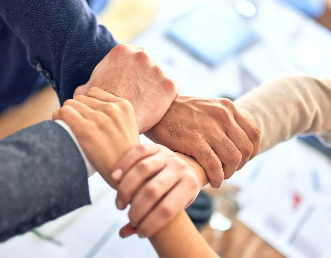 person in black long sleeve shirt holding persons hand